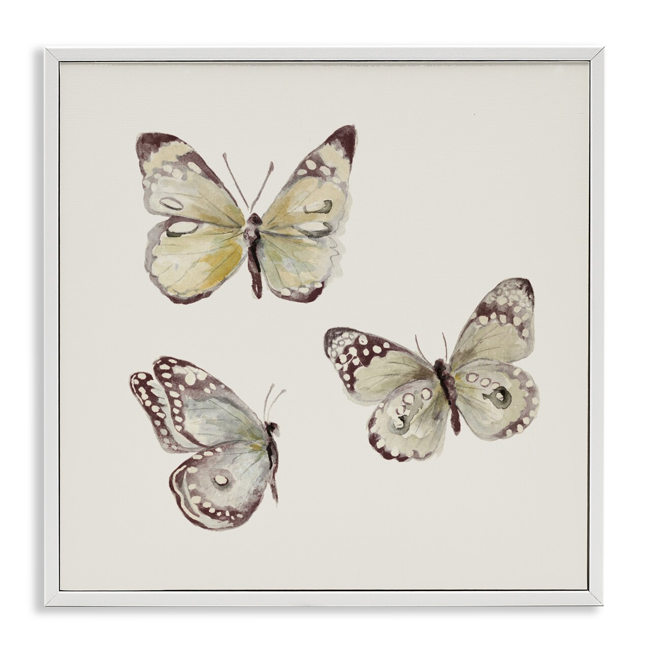 Stupell Industries Delicate Butterflies on Beige Framed Giclee, design by Patricia Pinto